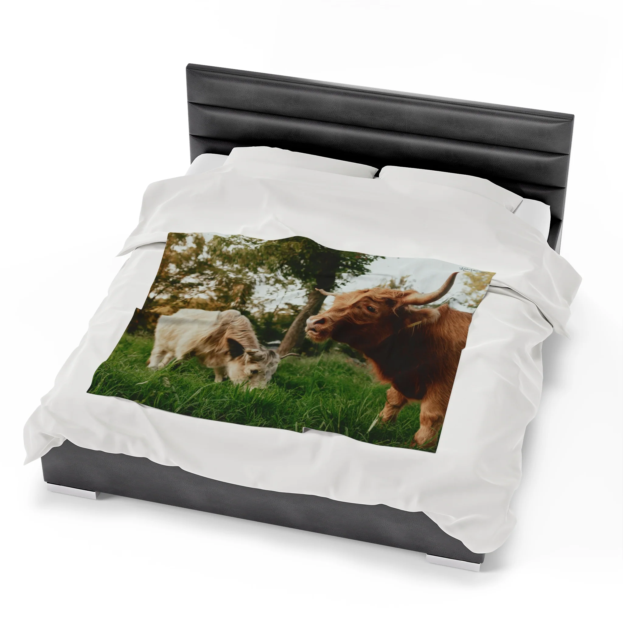 Poppy and Petunia Plush Blanket by Katie Van Slyke™ - Image 4